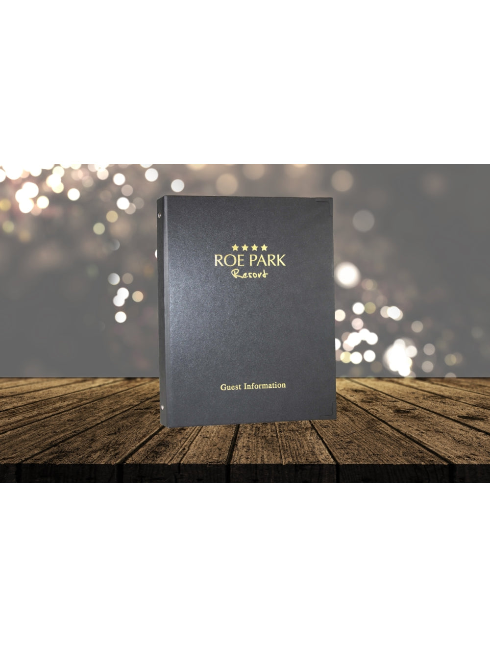 Пекинские информационные папки гостей