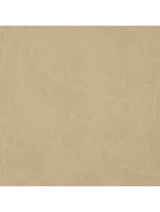 Образец материала Rome Sand (A788-3253)