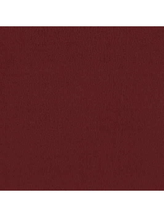 Tokyo Trawberry Material Swatch