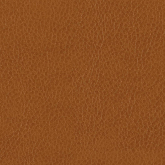 Материал Zurich Tan Swatch